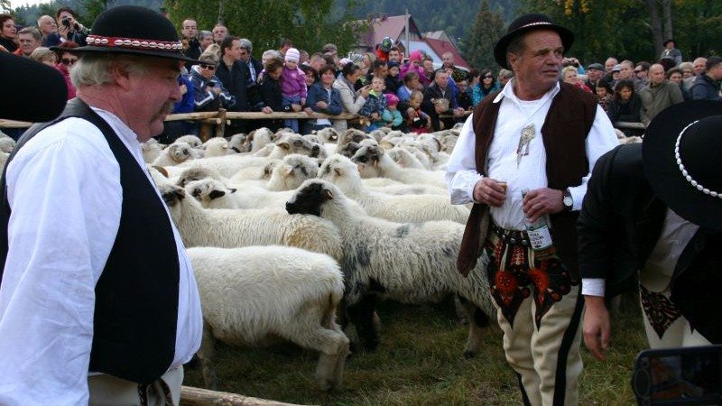 Sakramenckie przekleństwa