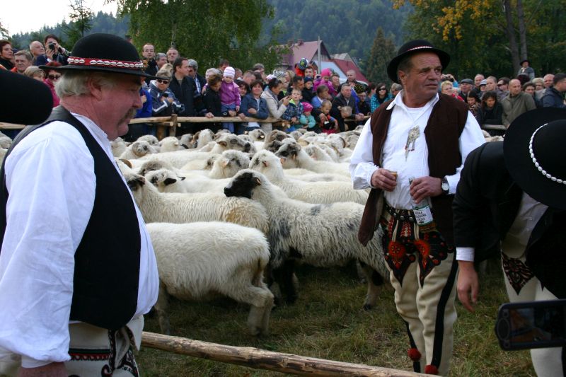 Sakramenckie przekleństwa