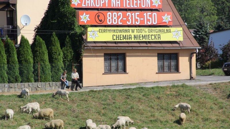 antyreklama