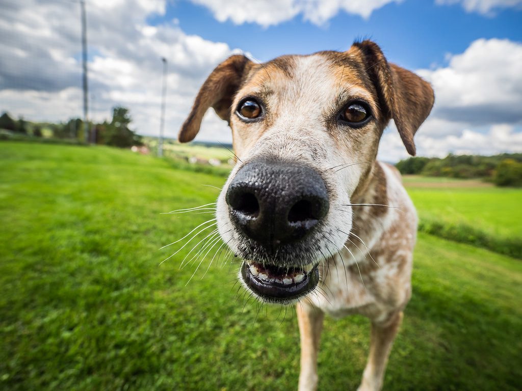 Media i przestępczość