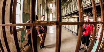 prowokacja dziennikarska