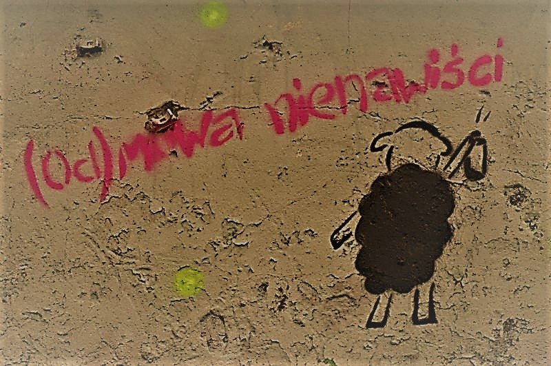 (od)mowa nienawiści