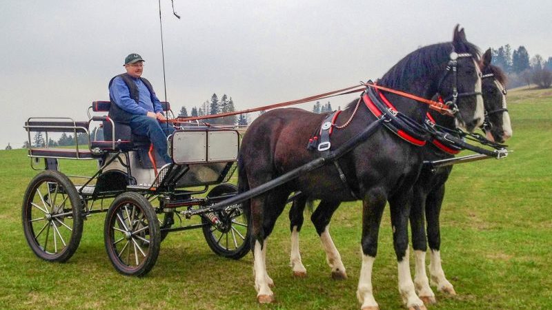 Do czego służy bat
